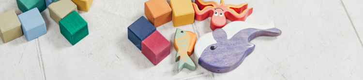 Children's toys and building blocks spread about on the floor.